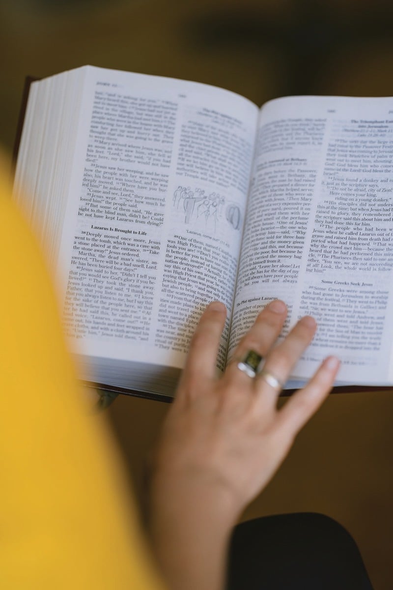 How to use the Bible Our Lady of Mercy Sunderland, United Kingdom